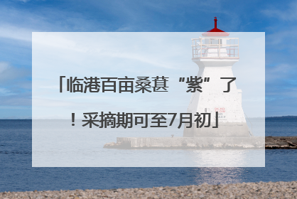 临港百亩桑葚“紫”了！采摘期可至7月初