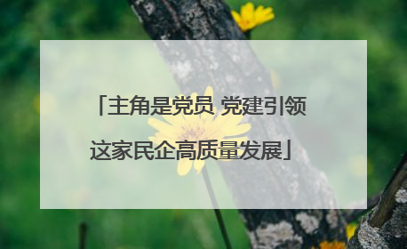 主角是党员 党建引领这家民企高质量发展