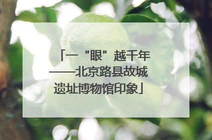 一“眼”越千年——北京路县故城遗址博物馆印象
