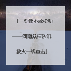 一刻都不敢松劲——湖南桑植防汛救灾一线直击