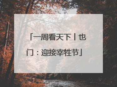 一周看天下丨也门：迎接宰牲节