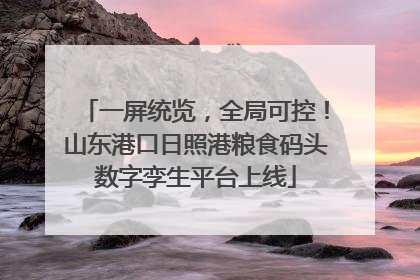 一屏统览，全局可控！山东港口日照港粮食码头数字孪生平台上线