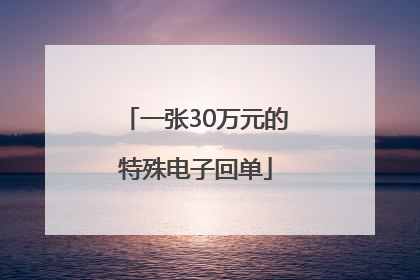 一张30万元的特殊电子回单