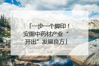 一步一个脚印！安图中药材产业“开出”发展良方