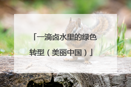 一滴卤水里的绿色转型（美丽中国）