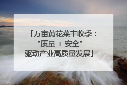 万亩黄花菜丰收季：“质量 + 安全” 驱动产业高质量发展