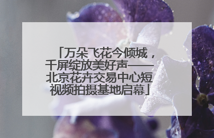 万朵飞花今倾城，千屏绽放美好声——北京花卉交易中心短视频拍摄基地启幕