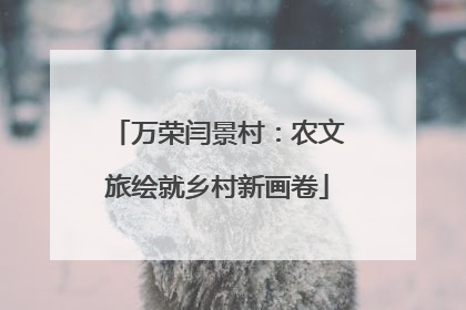 万荣闫景村：农文旅绘就乡村新画卷