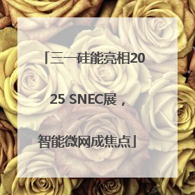 三一硅能亮相2025 SNEC展，智能微网成焦点