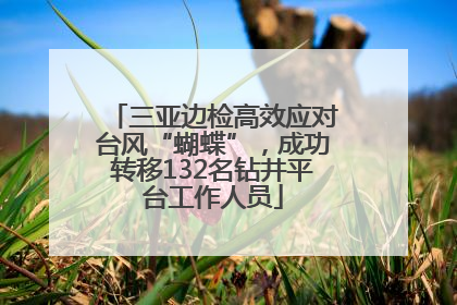 三亚边检高效应对台风“蝴蝶”，成功转移132名钻井平台工作人员