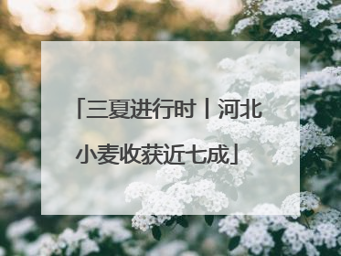 三夏进行时丨河北小麦收获近七成