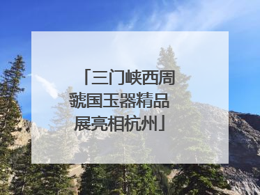 三门峡西周虢国玉器精品展亮相杭州