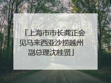 上海市市长龚正会见马来西亚沙捞越州副总理沈桂贤