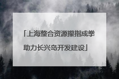 上海整合资源攥指成拳助力长兴岛开发建设