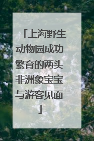 上海野生动物园成功繁育的两头非洲象宝宝与游客见面