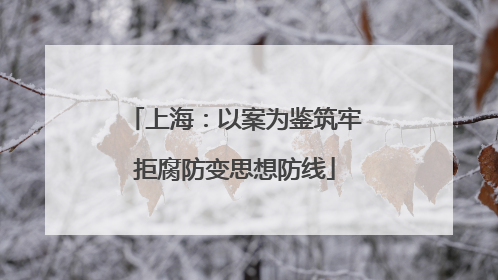 上海：以案为鉴筑牢拒腐防变思想防线