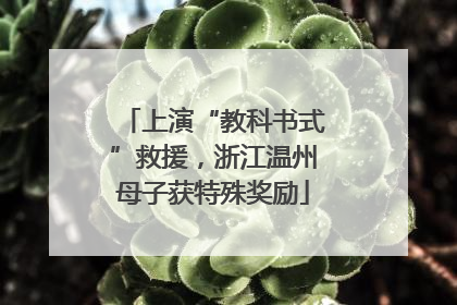 上演“教科书式”救援，浙江温州母子获特殊奖励