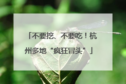不要挖、不要吃！杭州多地“疯狂冒头”