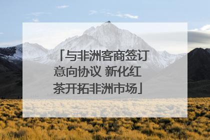 与非洲客商签订意向协议 新化红茶开拓非洲市场