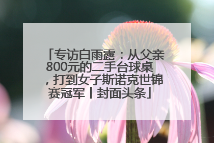 专访白雨露：从父亲800元的二手台球桌，打到女子斯诺克世锦赛冠军丨封面头条