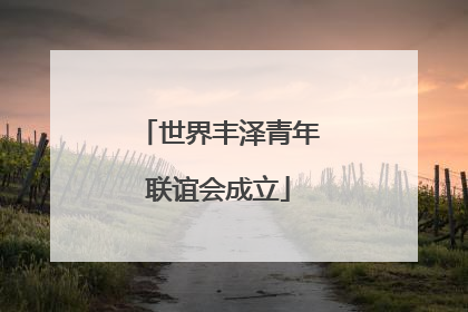 世界丰泽青年联谊会成立