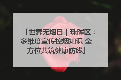 世界无烟日｜珠晖区：多维度宣传控烟知识 全方位共筑健康防线