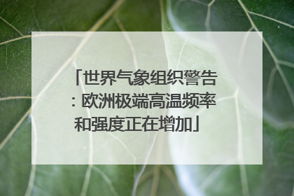 世界气象组织警告：欧洲极端高温频率和强度正在增加