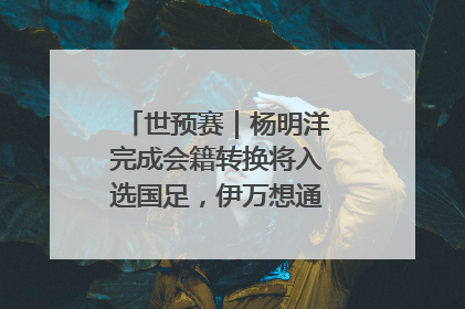 世预赛｜杨明洋完成会籍转换将入选国足，伊万想通了要打双后腰？
