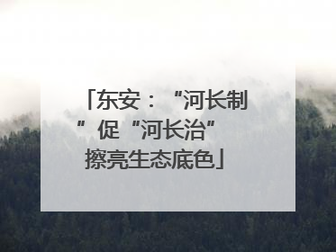 东安：“河长制”促“河长治” 擦亮生态底色