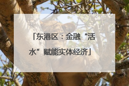 东港区：金融“活水”赋能实体经济