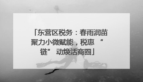 东营区税务：春雨润苗聚力小微赋能，税惠 “链” 动焕活商圈