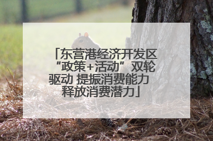 东营港经济开发区“政策+活动”双轮驱动 提振消费能力 释放消费潜力