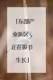 东部产业新区，正在拔节生长