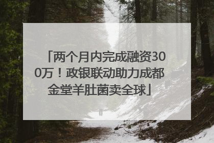 两个月内完成融资300万！政银联动助力成都金堂羊肚菌卖全球