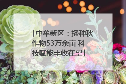 中牟新区：播种秋作物53万余亩 科技赋能丰收在望