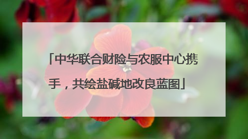 中华联合财险与农服中心携手，共绘盐碱地改良蓝图