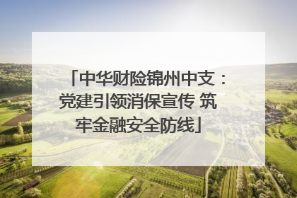 中华财险锦州中支：党建引领消保宣传 筑牢金融安全防线