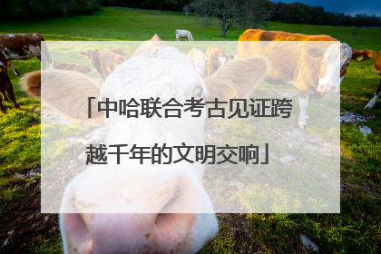 中哈联合考古见证跨越千年的文明交响