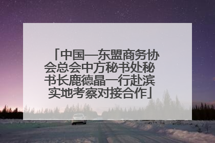 中国—东盟商务协会总会中方秘书处秘书长鹿德晶一行赴滨实地考察对接合作