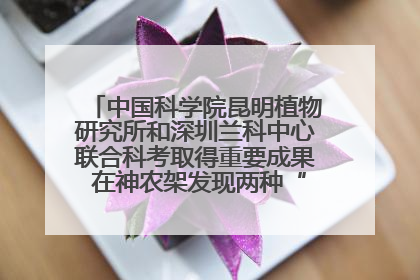 中国科学院昆明植物研究所和深圳兰科中心联合科考取得重要成果 在神农架发现两种“国保”级兰花