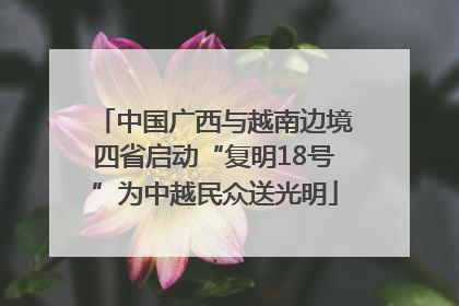 中国广西与越南边境四省启动“复明18号”为中越民众送光明