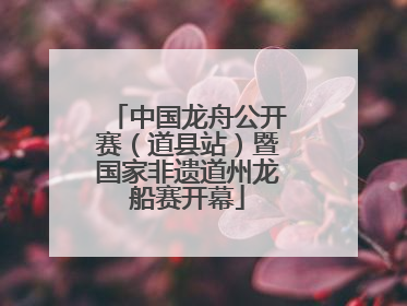 中国龙舟公开赛（道县站）暨国家非遗道州龙船赛开幕