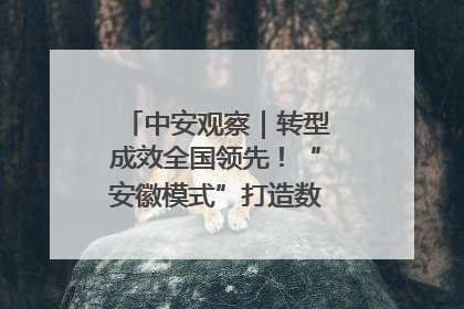 中安观察｜转型成效全国领先！“安徽模式”打造数字化转型新标杆