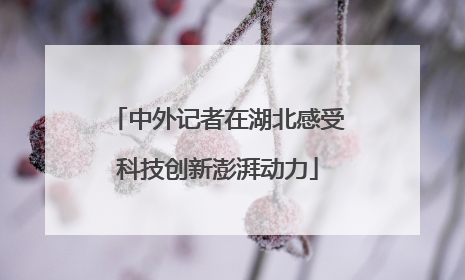 中外记者在湖北感受科技创新澎湃动力