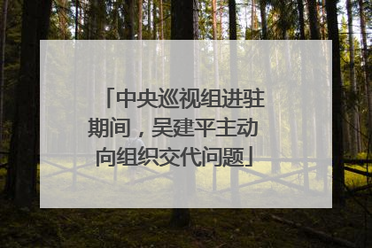 中央巡视组进驻期间，吴建平主动向组织交代问题