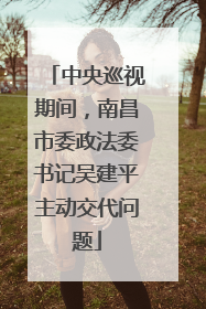 中央巡视期间，南昌市委政法委书记吴建平主动交代问题