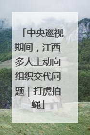 中央巡视期间，江西多人主动向组织交代问题｜打虎拍蝇