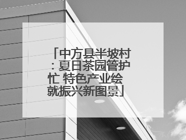中方县半坡村：夏日茶园管护忙 特色产业绘就振兴新图景