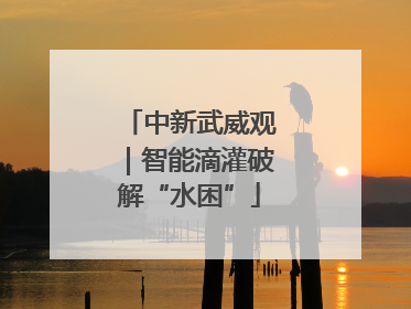 中新武威观｜智能滴灌破解“水困”