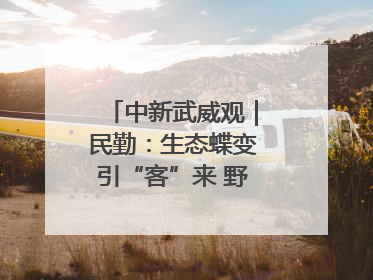 中新武威观｜民勤：生态蝶变引“客”来 野生动物乐逍遥